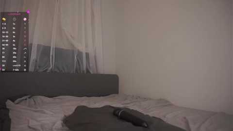 wildaheldreth @ stripchat on 20250818
