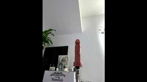 jamilaross @ stripchat on 20250819