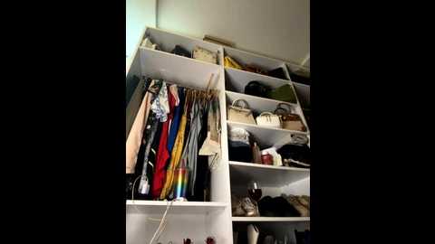 noha_sexy @ stripchat on 20250819
