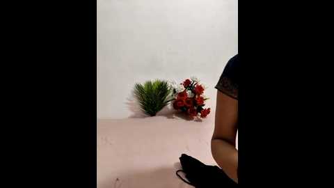 shalu_g @ stripchat on 20250819