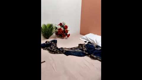 shalu_g @ stripchat on 20250819