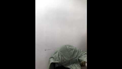 Media: ariana_07 Stripchat 2025-08-20 14:36:00