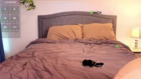 milk_chocolate_ @ stripchat on 20250821