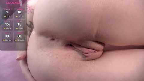 monasteel @ stripchat on 20250821