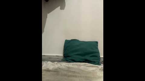abyusif101099 @ stripchat on 20250822