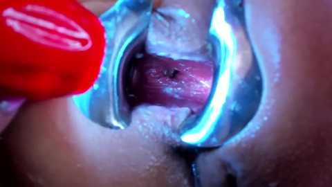 nikkahotx @ stripchat on 20250822