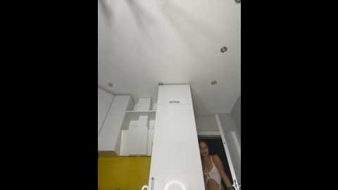 velvetvixeni @ stripchat on 20250822