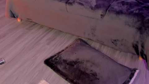 lillyortiz @ stripchat on 20250823