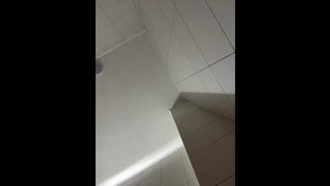newlale @ stripchat on 20250823