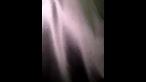 bambi_live