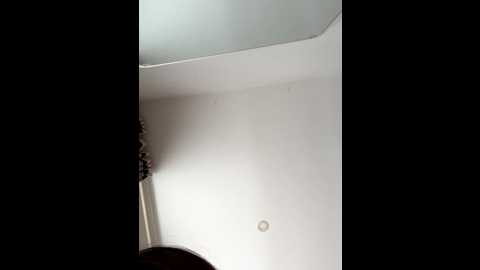 Media: qi9i Stripchat 2025-08-25 04:38:00