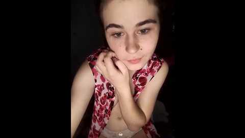 torytayler