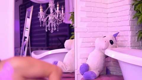 Media: bellanoirre Stripchat 2025-08-26 01:08:00