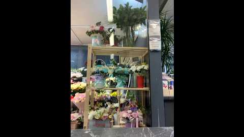 Media: candyvice Stripchat 2025-09-01 19:10:00