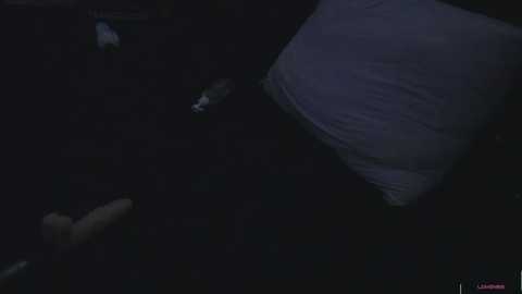 dakota_blare