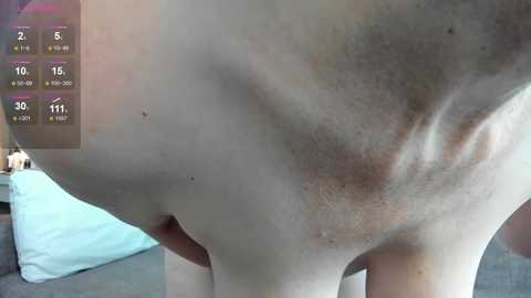 angelica_marquise