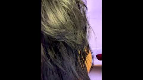clarachanelricek @ stripchat on 20250903
