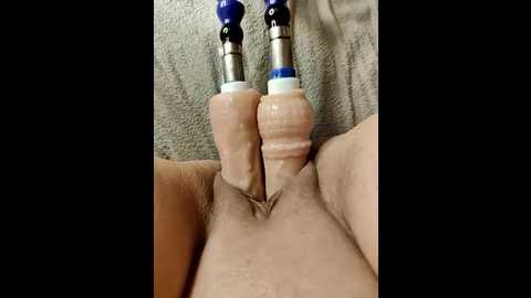 Media: lola_hale Stripchat 2025-09-04 19:40:00