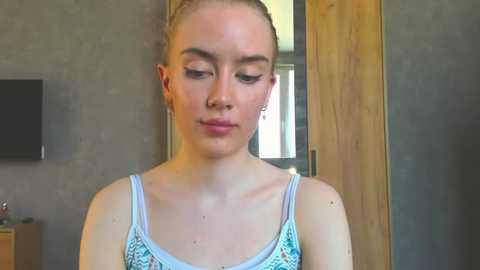 theshyfairy