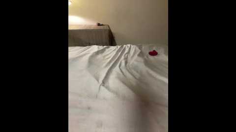 aditi___o