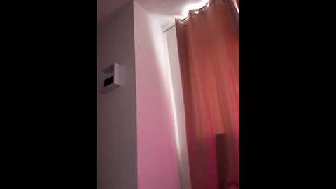 lexy669