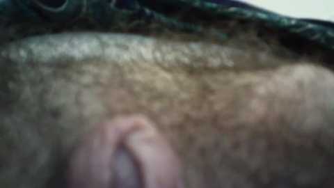 regina_5