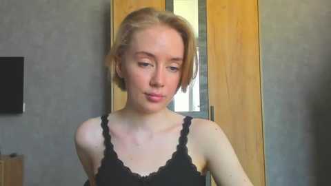 theshyfairy