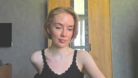 theshyfairy
