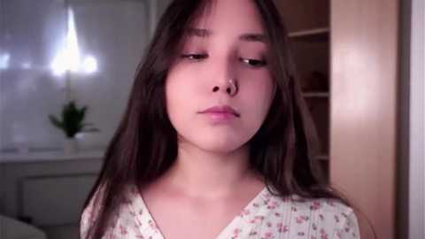 lauraplakke