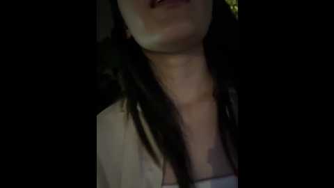 ruyi_13