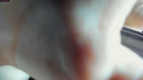Media: tefffish Stripchat 2025-09-08 00:34:00