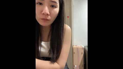 ruyi_13