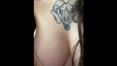 arya_black @ stripchat on 20250912