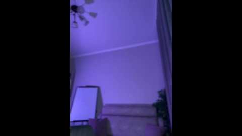 cuddlies_lili