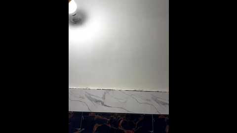 cute_plak02 @ stripchat on 20250912
