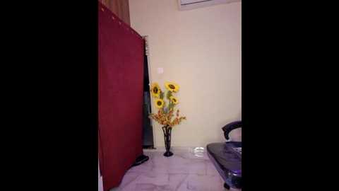 hot_rose25