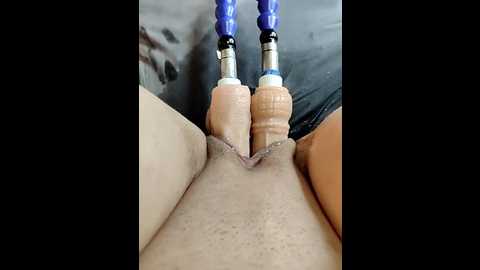 lola_hale @ stripchat on 20250913