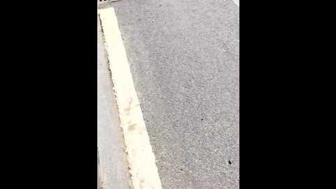 shaoshao_7758