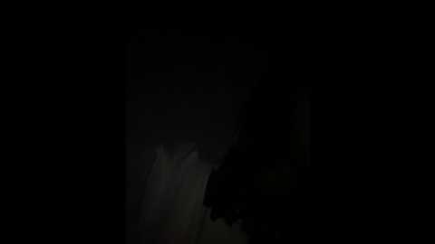 xixi_28