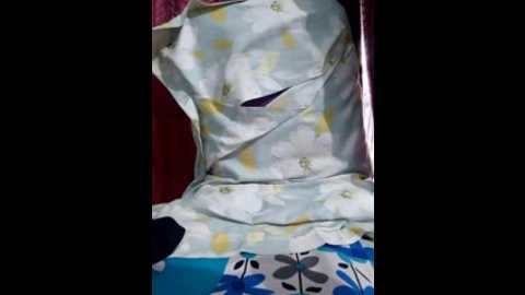 palak_233