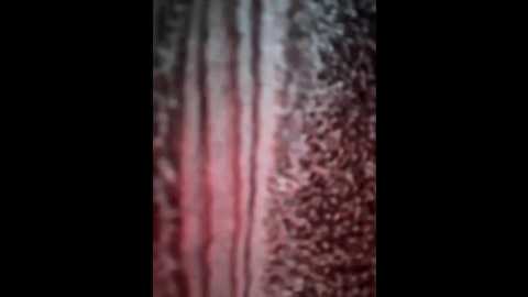 ashley_tompson1