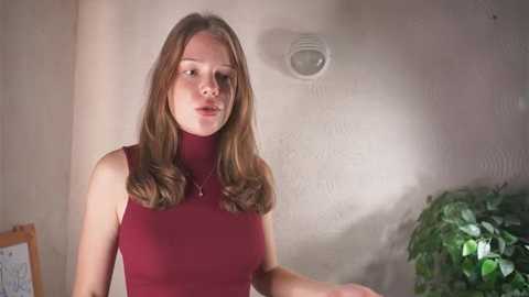 evelyncollins