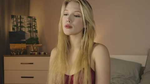 alicelebel
