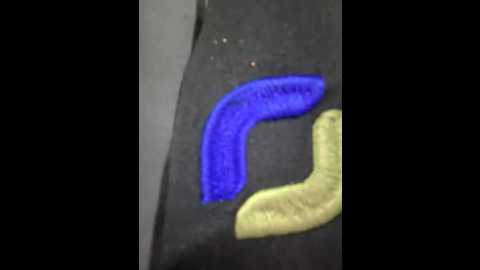 ariana_07
