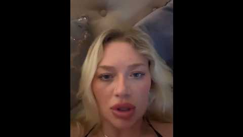 blissdimicco