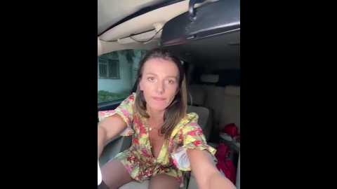 fit_vic