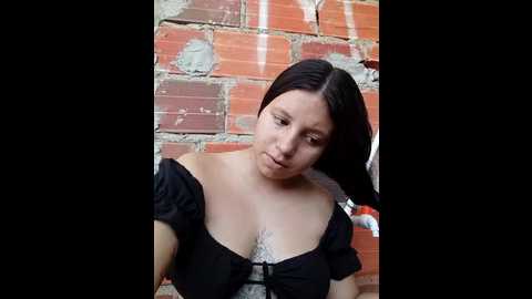 shell_latina
