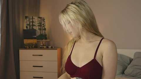 alicelebel