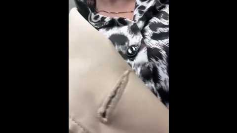katya_katysha