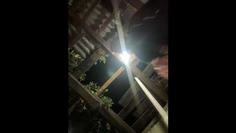 hotamanda01